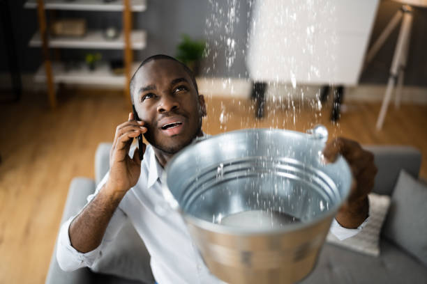  Flora Vista, NM Water damage restoration Pros