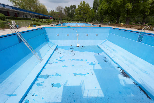 Best Mold removal after water damage  in Flora Vista, NM