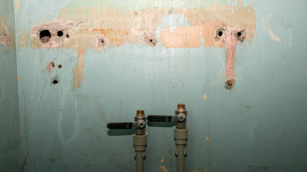 Best 24/7 water damage repair  in Flora Vista, NM