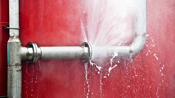 Best Water damage restoration near me  in Flora Vista, NM